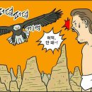 제우스 Daum카페