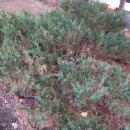 이영농장 이미지