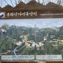 춘천 용화산 자연휴양림 야영데크 이용후기