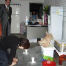 도경상사 이미지