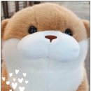 나이스 인형 뽑기방 이미지