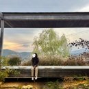 꽃자락 | 속초 감성 카페 하도문!! 설악산자락 힐링 코스로 완전 추천