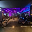 바디피티 이미지