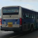 일광여객 이미지