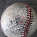 정훈환경 | 롯데 더블헤더 1승 1무, 하지만 두 번의 헤드샷에 가슴 쓸어내린 하루 [수원 직관 후기]