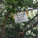 대둔산주유소 이미지