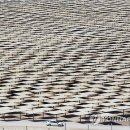 성지 태양광발전소 이미지