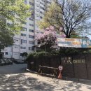 잠원롯데캐슬갤럭시아파트 101동 앞 교통섬 | [서초 임장] 서초동 서초현대 아파트 &amp; 서초롯데캐슬클래식 아파트 임장