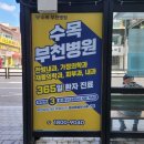 술 + 진통제, 같이 먹으면 정말 “독”이 될까요? 이미지