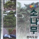 소나무출판