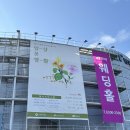 [꽃청춘 서포터즈 5기] 양재 플라워 페스타 방문 후기