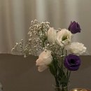 독산로74길 이미지