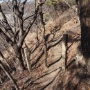 9월21일,일요일,천마산 둘레길 일주 도보 이미지