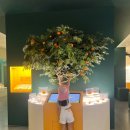 감귤박물관 | 제주 감귤 박물관 후기 | 아이와 가기 좋은 실내 코스 &amp; 체험 정보