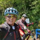 두바퀴자전거민박 이미지