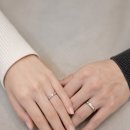세련 티스토리