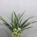 대훈유통 이미지