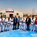 손 태권도 이미지