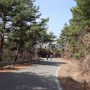 악어구름