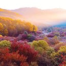 비밀의 정원 이미지