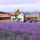 벽송농장 이미지