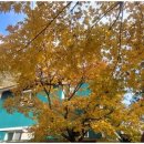 힐링펜션민박 이미지