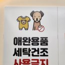 워시프렌즈셀프빨래방봉천당곡보라매 이미지