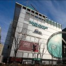 snpe체형교정 이미지