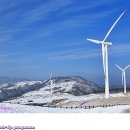 삼양목장 이미지