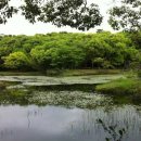 동산빌딩 이미지