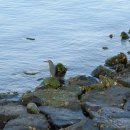 섬진강낚시 이미지