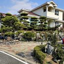 예원닭강정 이미지