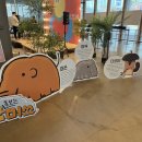 전라남도청년예술가협동조합 | 사회의 틈으로 바라보는 진짜 청년의 삶, 2025 수원청년 '틈' 페스티벌 현장 스케치 (부스·체험)