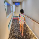 죽성에머물다 | 부산 근교 아이랑 가족여행 하루 코스 추천 울산 간절곶 , 국립부산과학관