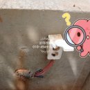 화성전업사 이미지
