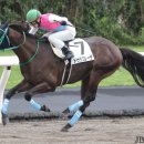 부마호프 이미지