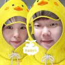 위드미 성서신당점 | 다이소 차박 캠핑 용품사러 go go~~!!!