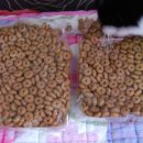 개봉현대약국 이미지