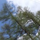 연인산풍경 이미지