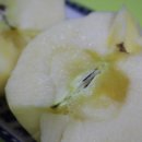 향촌 농원