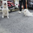 이룸독트레이닝 이미지