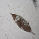 한옥민박 이미지