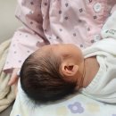 시온세탁의집 | 초산모 제왕절개 5박 6일 퇴원 시온여성병원 입원실 1인실 후기 부대시설, 식단