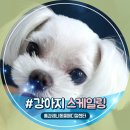 톰과 제니 동물메디컬센터 이미지