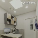 유앤아이동물병원 네이버블로그