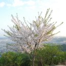 계양산 정상 이미지