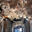 백만프라자 | [고잔동 이자카야] 이자카야 춘 본점 후기