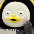 도래재자연휴양림(밀양) 이미지