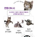 오토프랜즈 네이버블로그