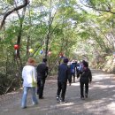 논산 부창동 성당 | 논산 부창동 성당과 내동 성당 신우회 회원들의 순천만 나들이 2화 선암사 승선교까지